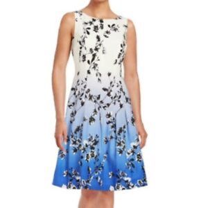 EUC Ivanka Trump ombre fit and flare dress